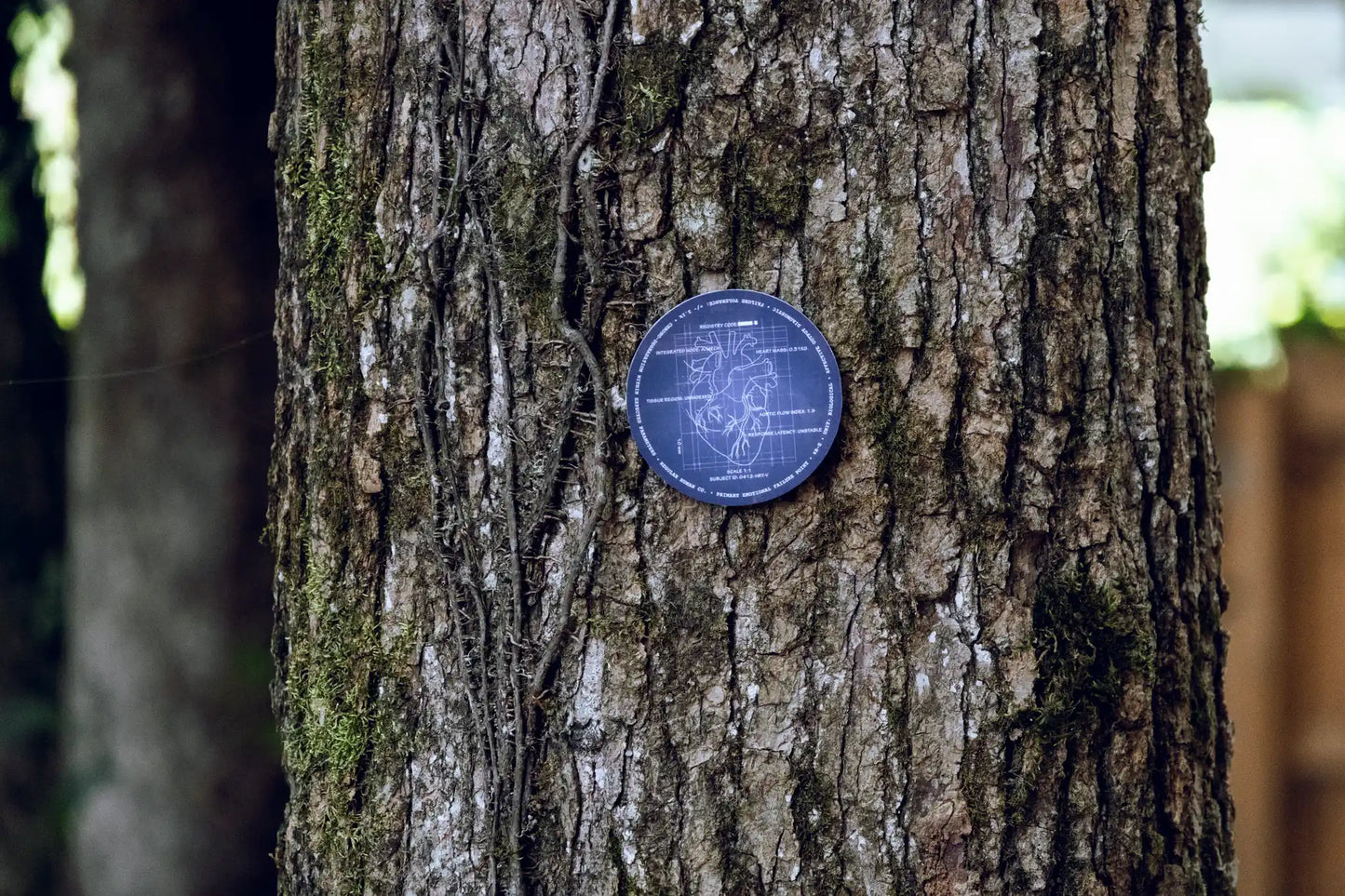 Complete Field Kit — 5 Waterproof Vinyl Artifacts