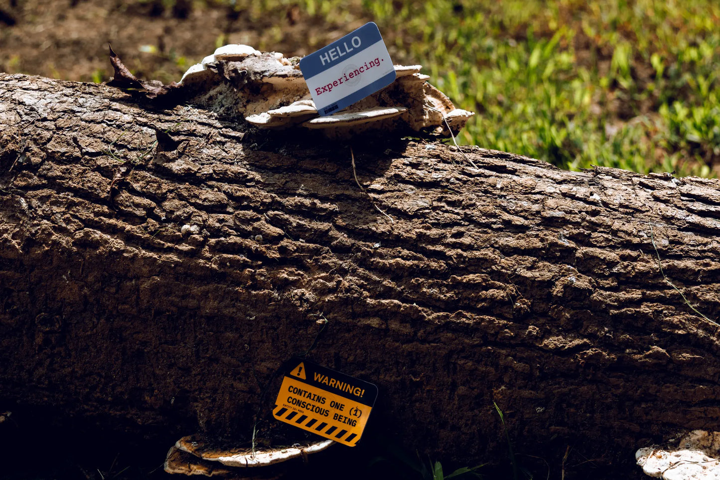 Warning Label Sticker — “Contains One (1) Conscious Being” — 3×2 in Waterproof Vinyl