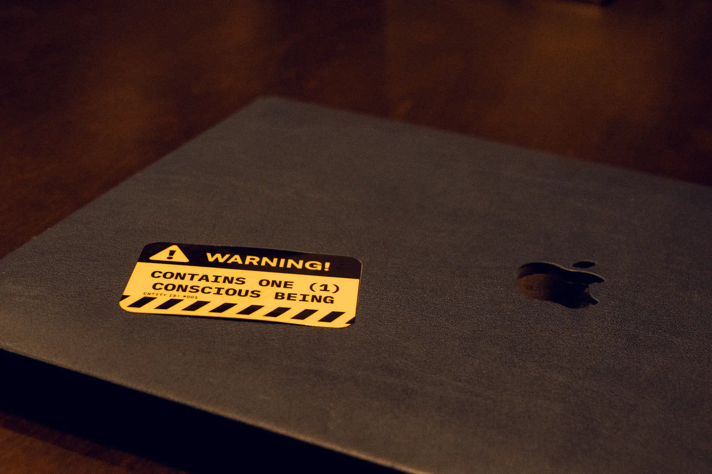 Warning Label Sticker — “Contains One (1) Conscious Being” — 3×2 in Waterproof Vinyl