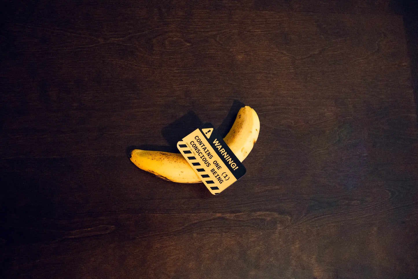 Warning Label Sticker — “Contains One (1) Conscious Being” — 3×2 in Waterproof Vinyl