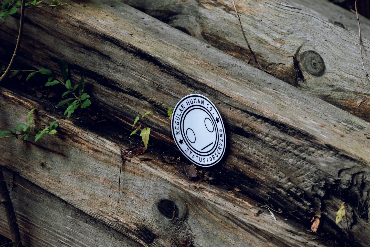 Brand Mark Sticker — Regular Human Co. Official Seal — 3 in Waterproof Vinyl