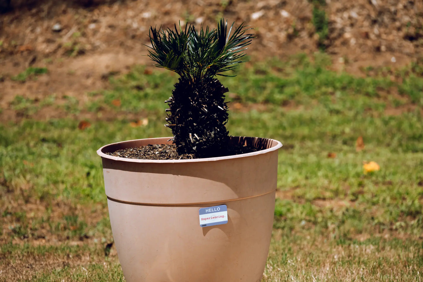 Nametag Sticker — “HELLO — Experiencing” — 3×2 in Waterproof Vinyl