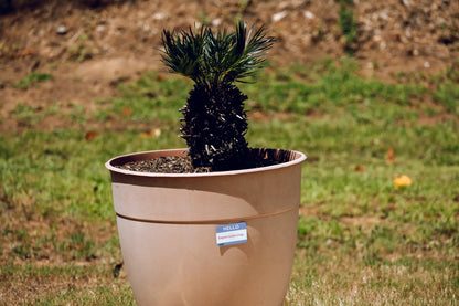 Nametag Sticker — “HELLO — Experiencing” — 3×2 in Waterproof Vinyl