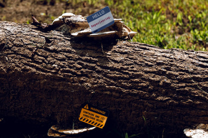 Warning Label Sticker — “Contains One (1) Conscious Being” — 3×2 in Waterproof Vinyl