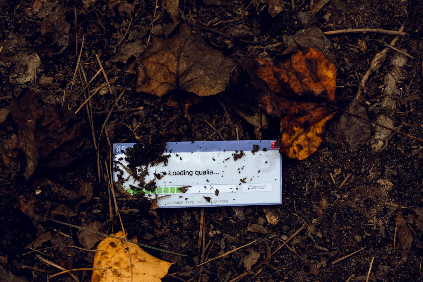 Complete Field Kit — 5 Waterproof Vinyl Artifacts